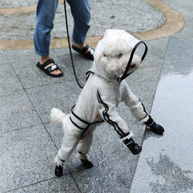 Chubasquero impermeable para perros - Seco y limpio tras cada paseo