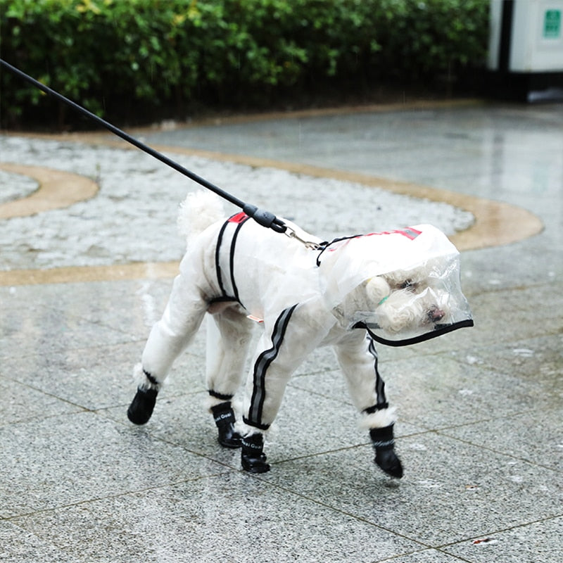 Chubasquero impermeable para perros - Seco y limpio tras cada paseo
